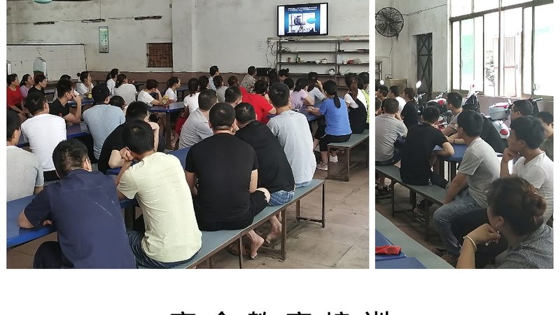 自考本科毕业论文：挑战与应对策略